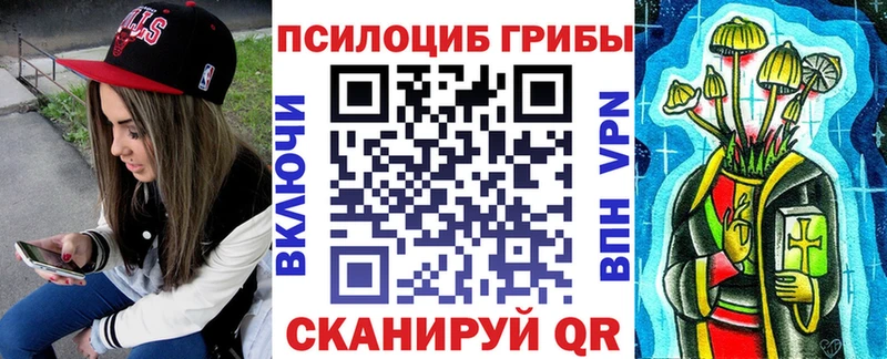 KRAKEN ТОР  Фёдоровский  Псилоцибиновые грибы Psilocybe 